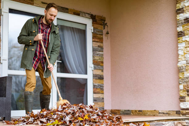 Yard Cleanup Services in Blakely, PA